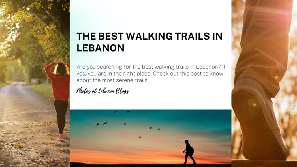 The best Walking trails in Lebanon