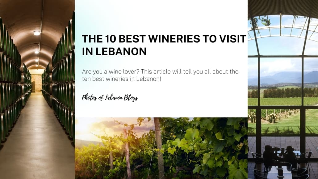 Are you a wine lover? This article will tell you all about the ten best wineries in Lebanon!