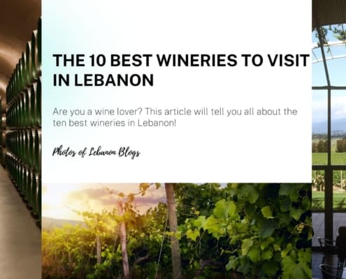 Are you a wine lover? This article will tell you all about the ten best wineries in Lebanon!