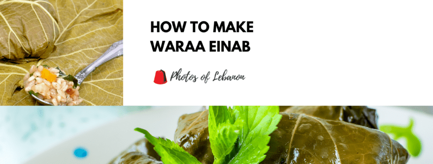 How to make Waraa Einab - Lebanese Vine Leaves